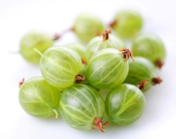 Gooseberry Nutrition Facts, Health Benefits of Gooseberries