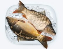 Calories in Carp Fish, Carp Nutrition Facts