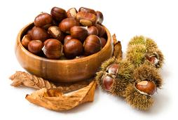 Chestnut Calories